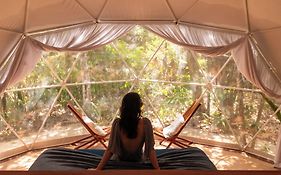 Jungle Glamping K'U' Kuk